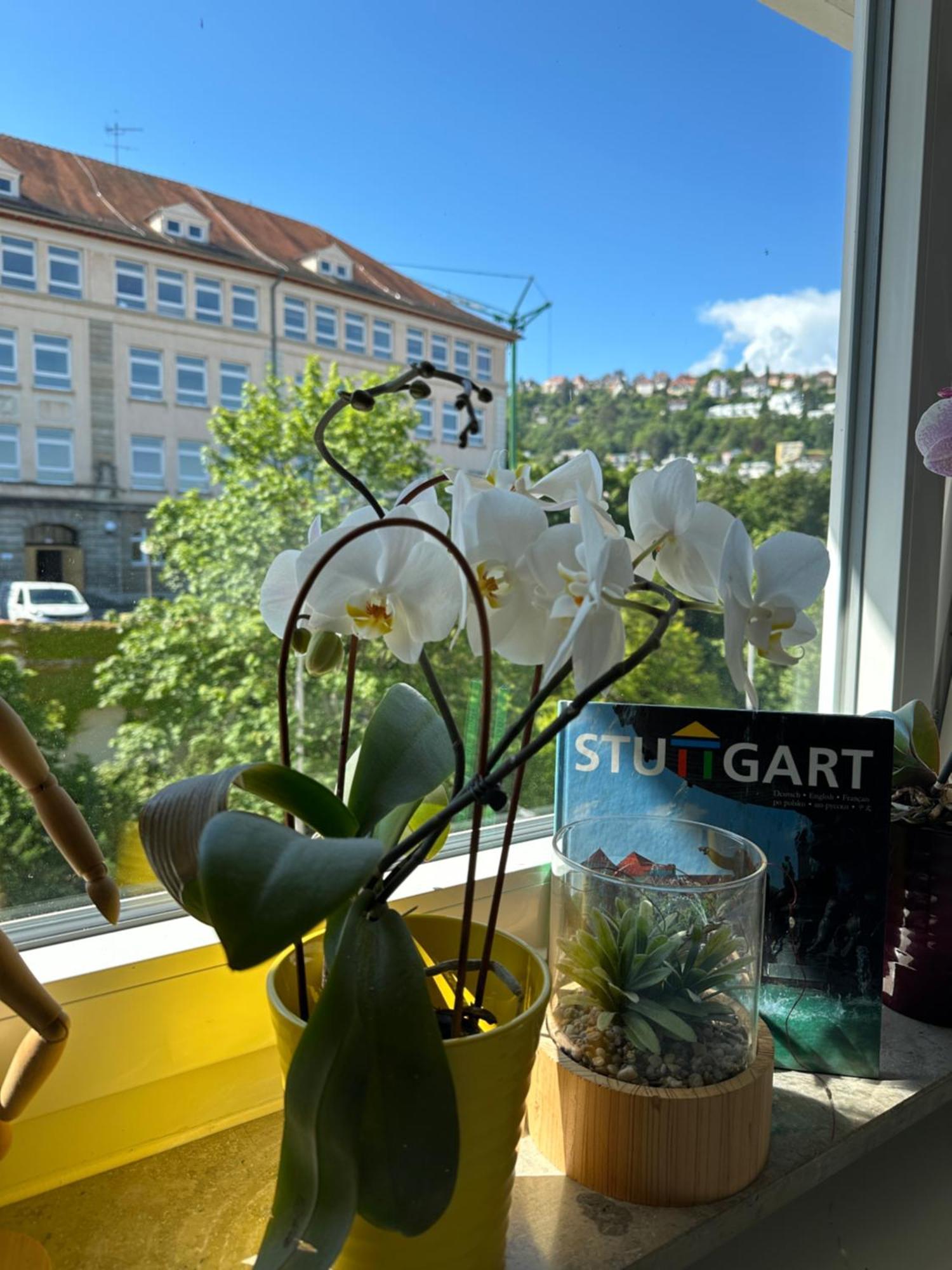 Ferienwohnung Renovated Flat - Prime Location Near Marienplatz Stuttgart Exterior foto